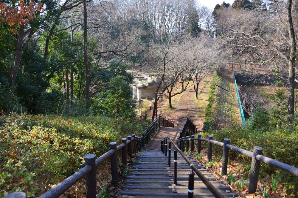 忠生公園の画像 - 3枚目