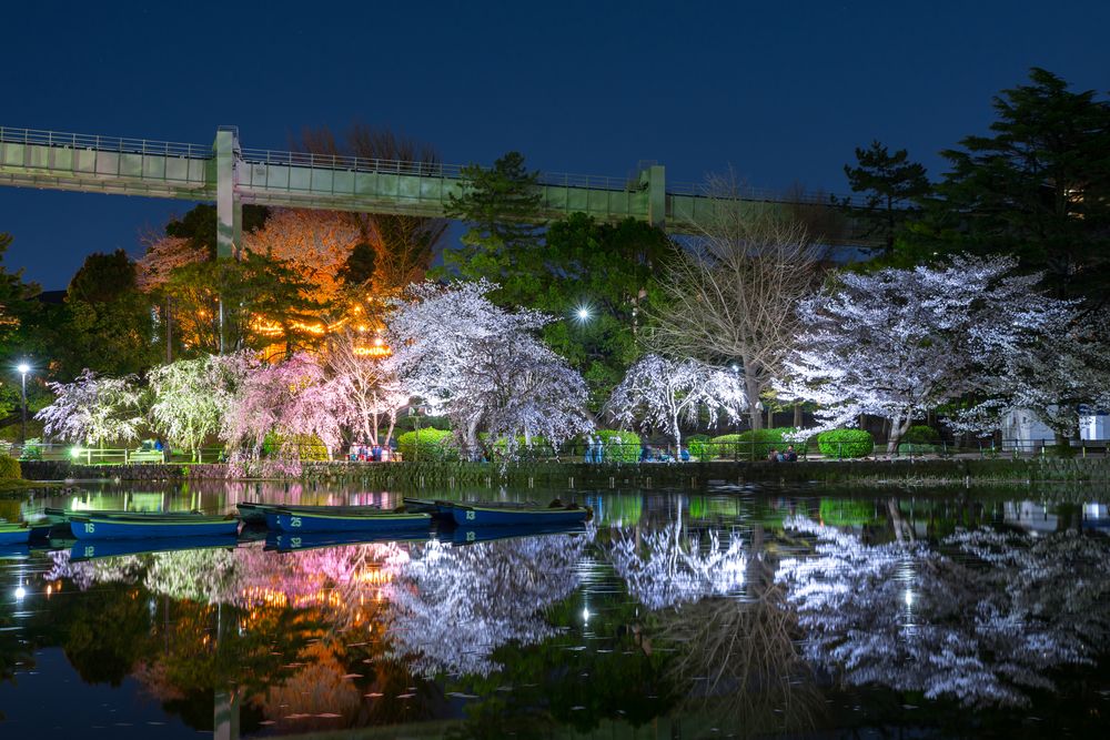 千葉公園