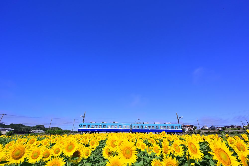銚子電気鉄道の画像 - 5枚目