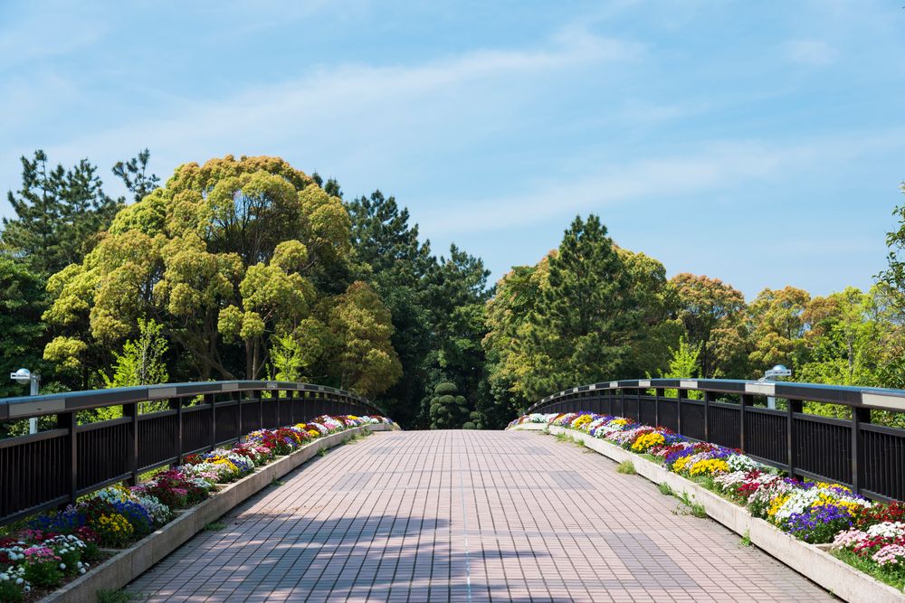 幕張海浜公園の画像 - 2枚目