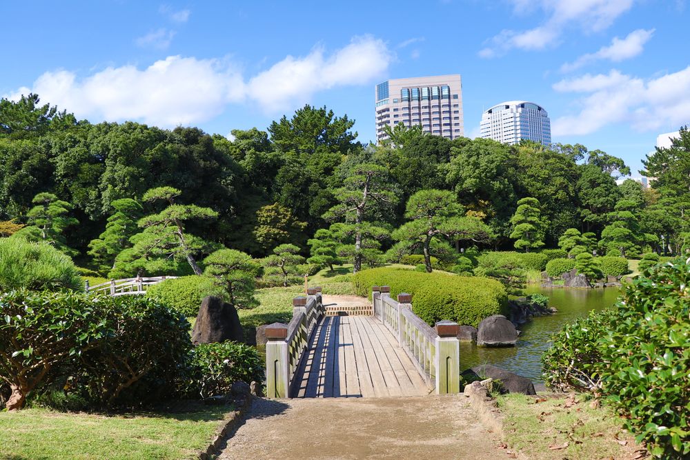 幕張海浜公園の画像 - 4枚目