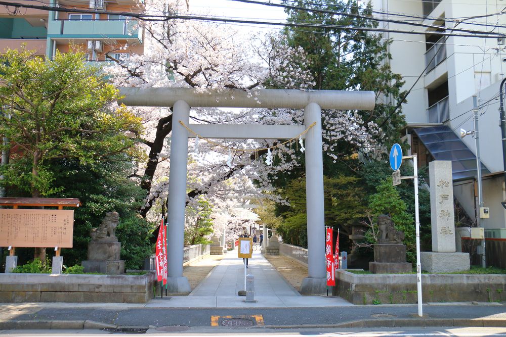 松戸神社の画像 - 3枚目