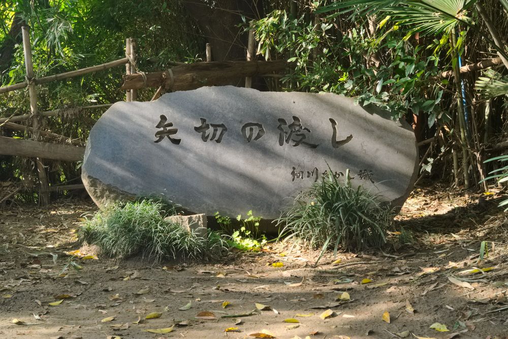 矢切の渡し（矢切側）の画像 - 2枚目