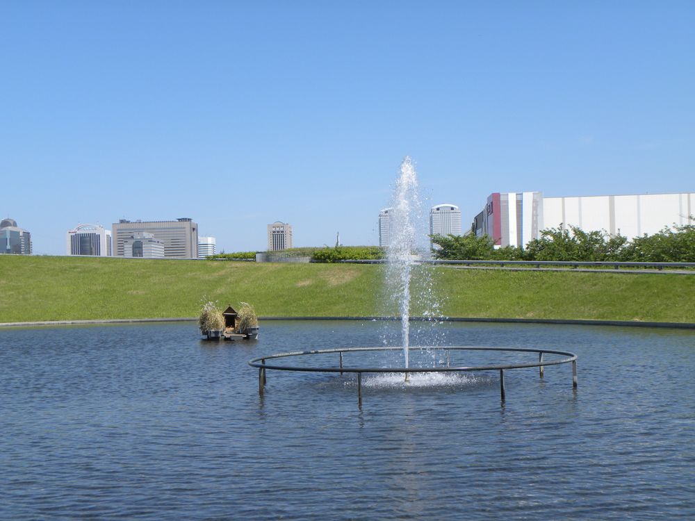 さくら広場の画像 - 5枚目