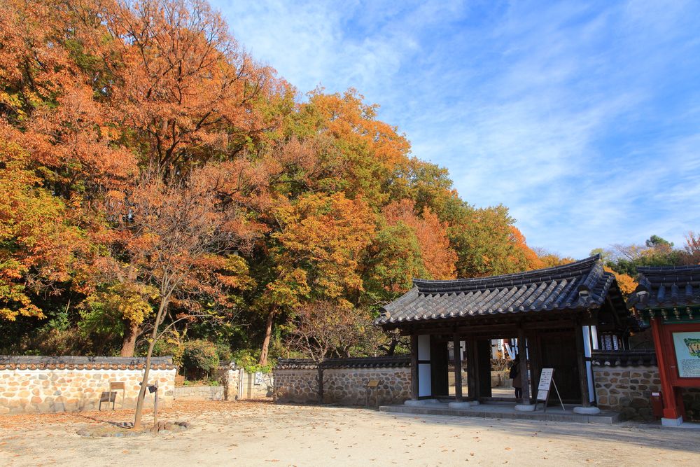 三ツ池公園の画像 - 2枚目