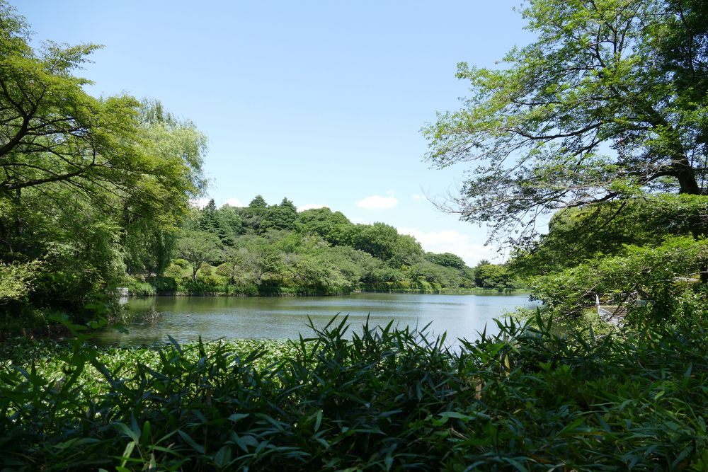 三ツ池公園の画像 - 6枚目