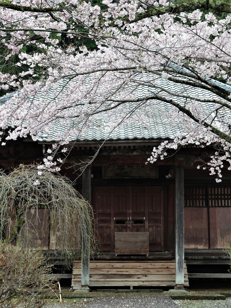 宝蓮寺 大日堂の画像 - 3枚目