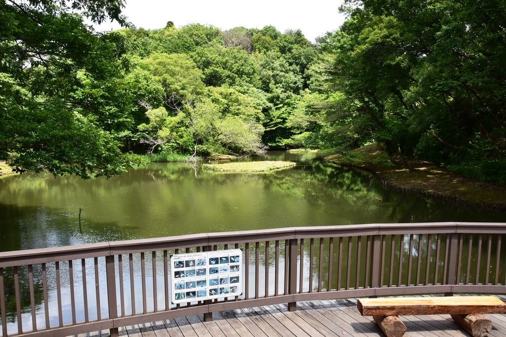 県立座間谷戸山公園の画像 - 2枚目