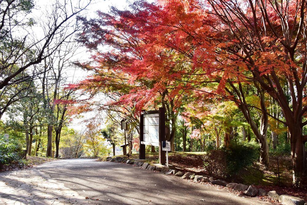 県立座間谷戸山公園の画像 - 4枚目