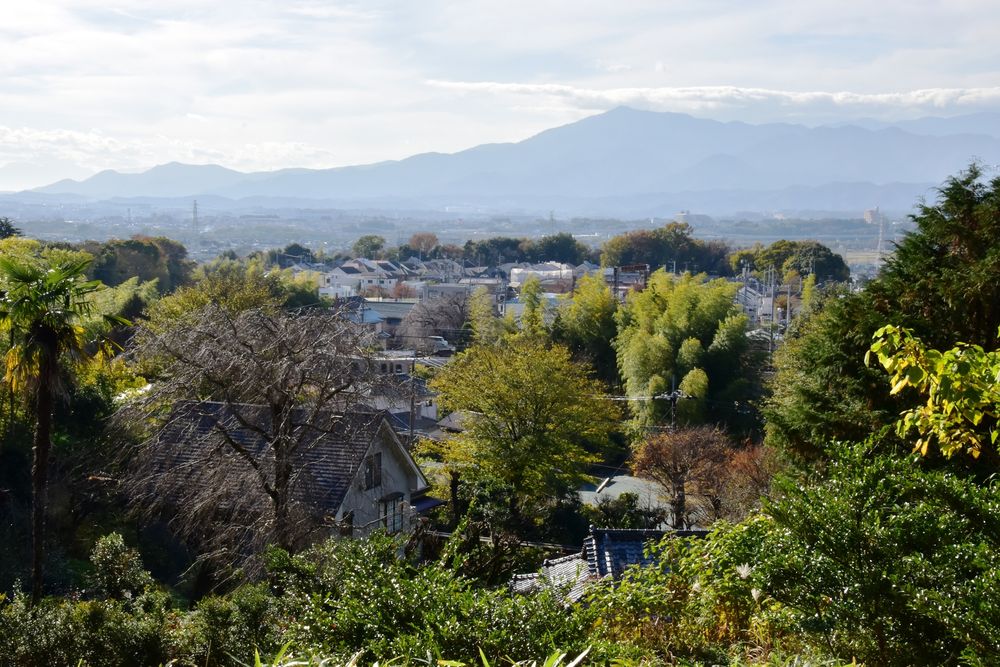 県立座間谷戸山公園の画像 - 5枚目