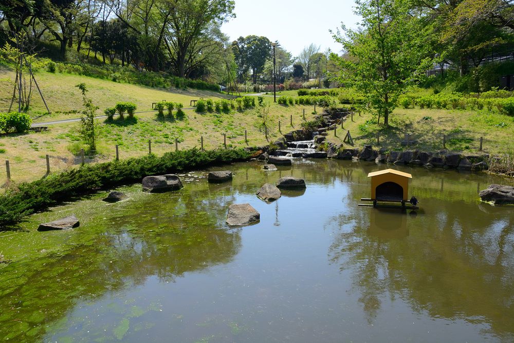 保土ヶ谷公園