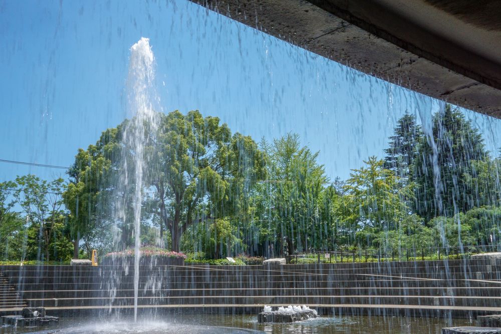 保土ヶ谷公園の画像 - 4枚目