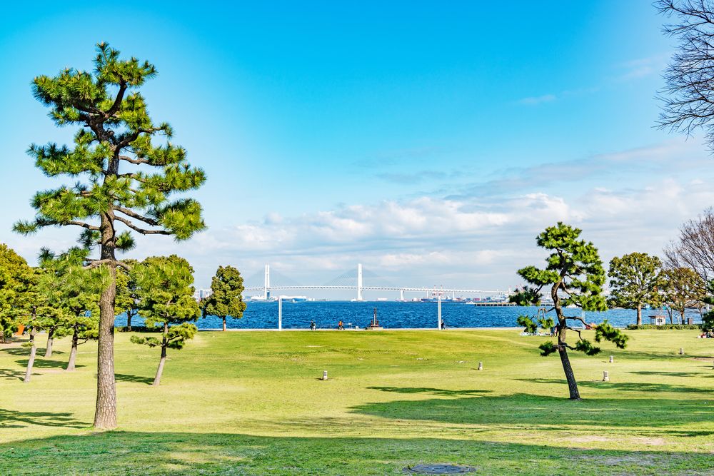 臨港パークの画像 - 2枚目