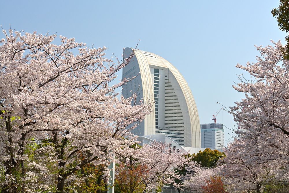 臨港パークの画像 - 3枚目