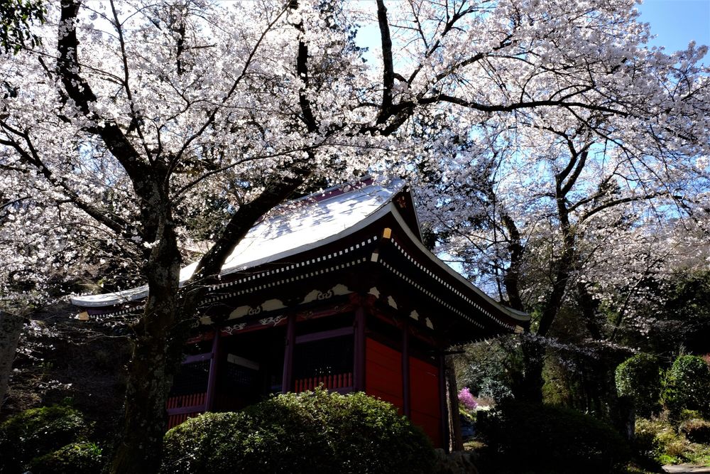 観音寺の画像 - 2枚目