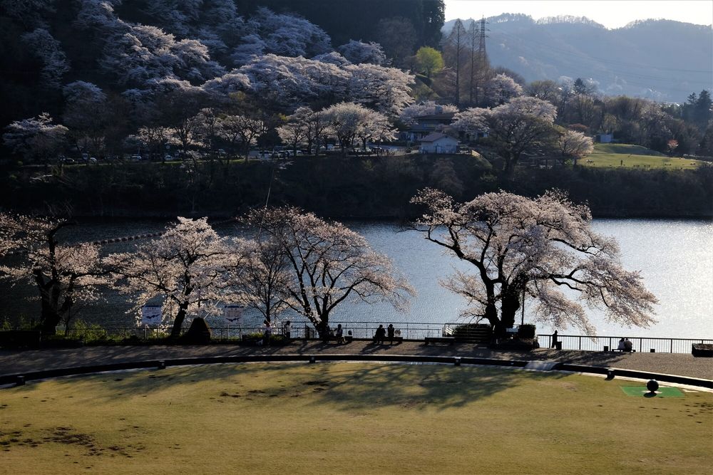 津久井湖 城山ダムの画像 - 4枚目