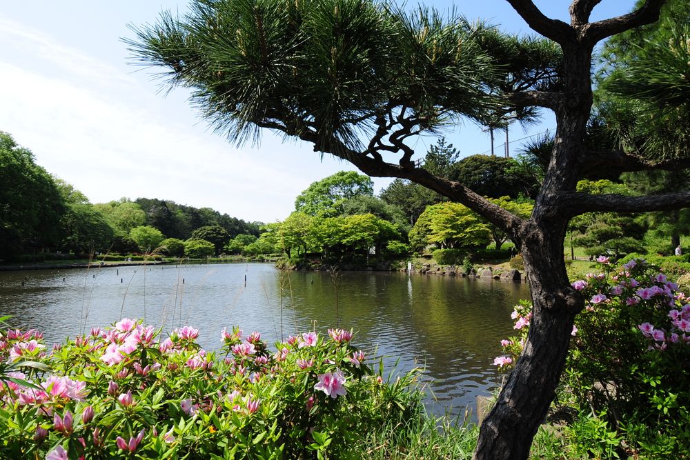 こども自然公園（大池公園）の画像 - 3枚目