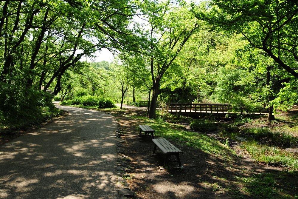 こども自然公園（大池公園）の画像 - 4枚目