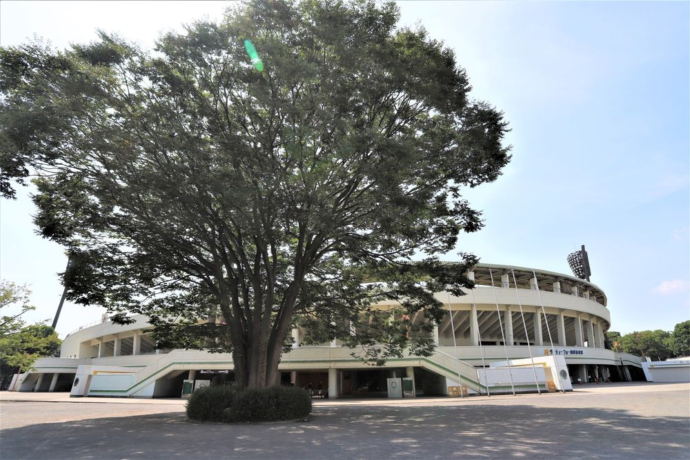 淵野辺公園の画像 - 2枚目