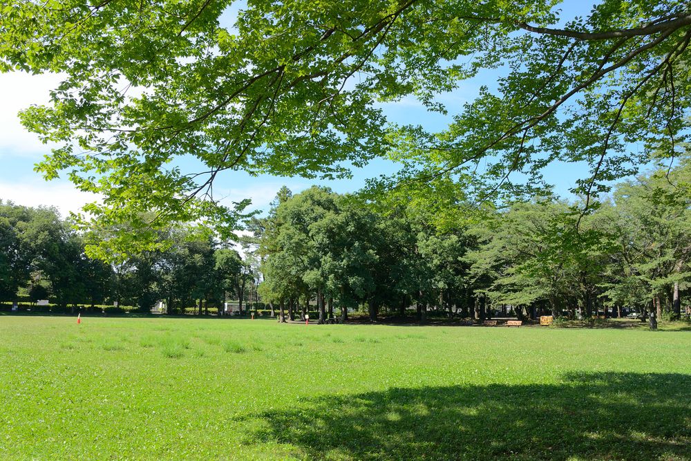 淵野辺公園