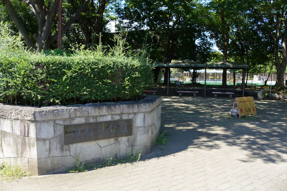 淵野辺公園の画像 - 5枚目