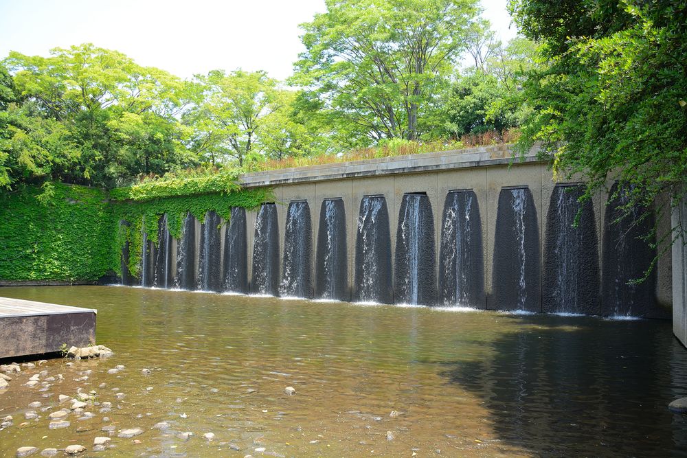 第一カッターきいろ公園