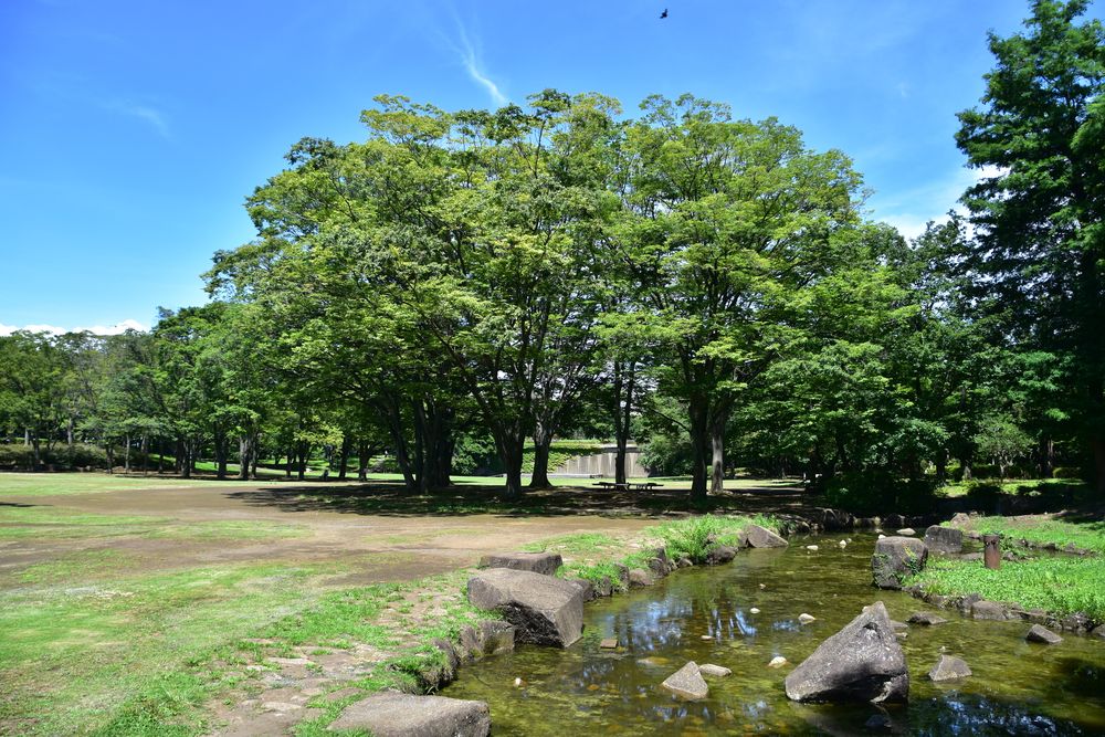 第一カッターきいろ公園の画像 - 3枚目