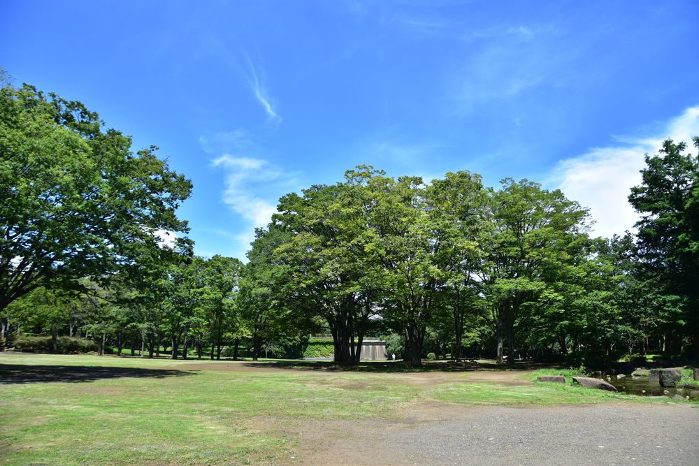 第一カッターきいろ公園の画像 - 4枚目