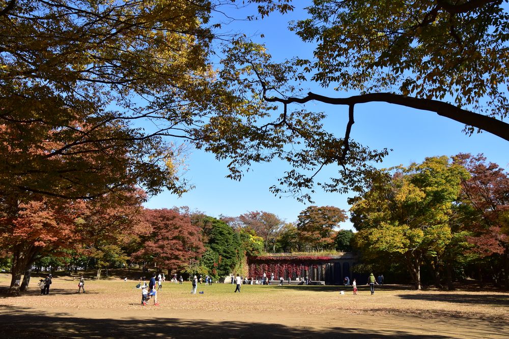 第一カッターきいろ公園の画像 - 5枚目