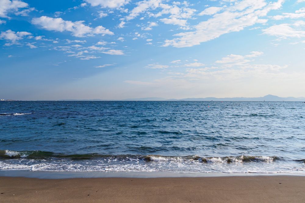 三浦海岸の画像 - 4枚目