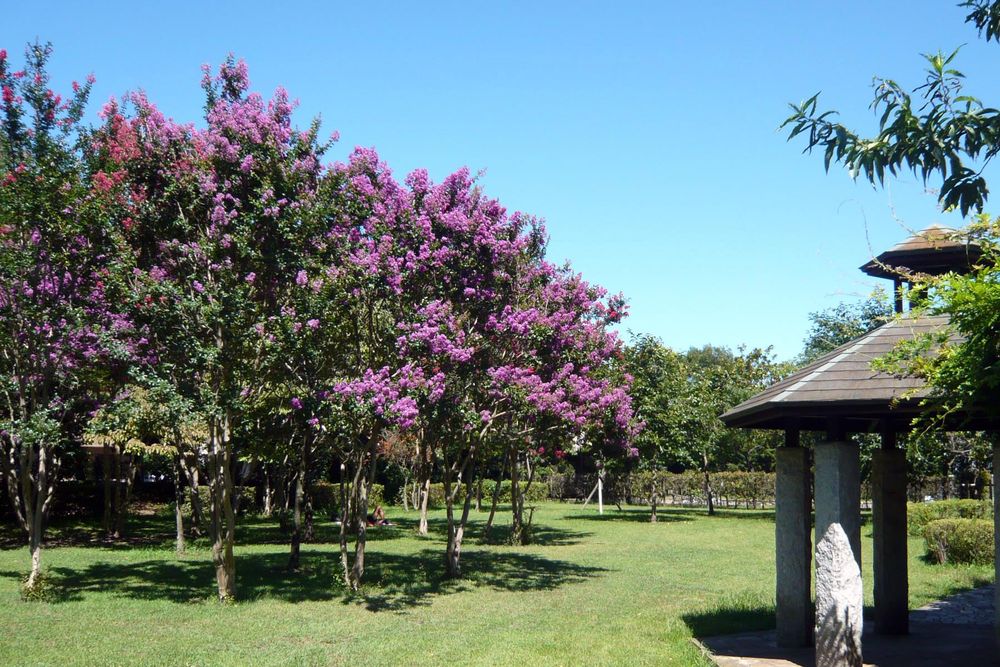 横山公園の画像 - 2枚目