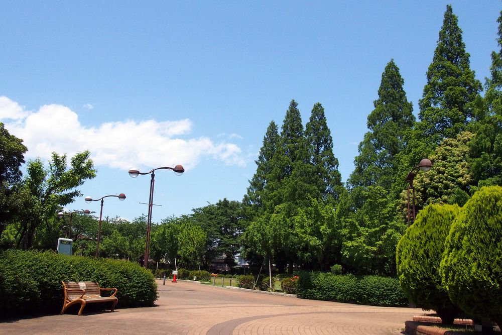 横山公園の画像 - 3枚目