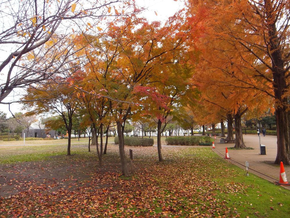 横山公園の画像 - 4枚目