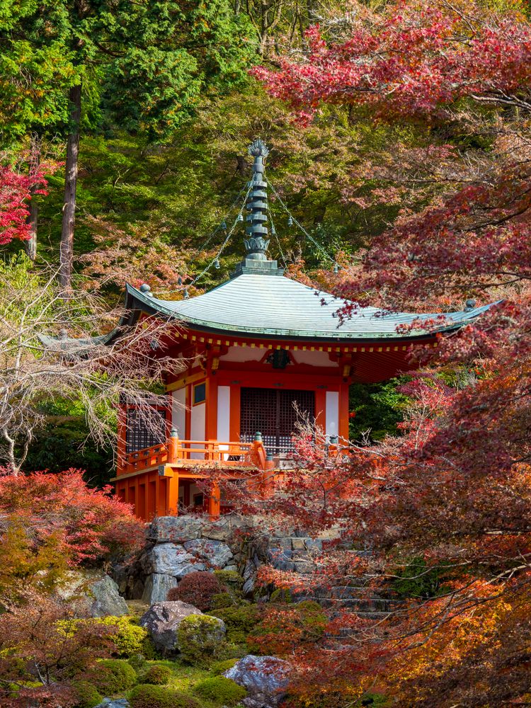醍醐寺の画像 - 2枚目