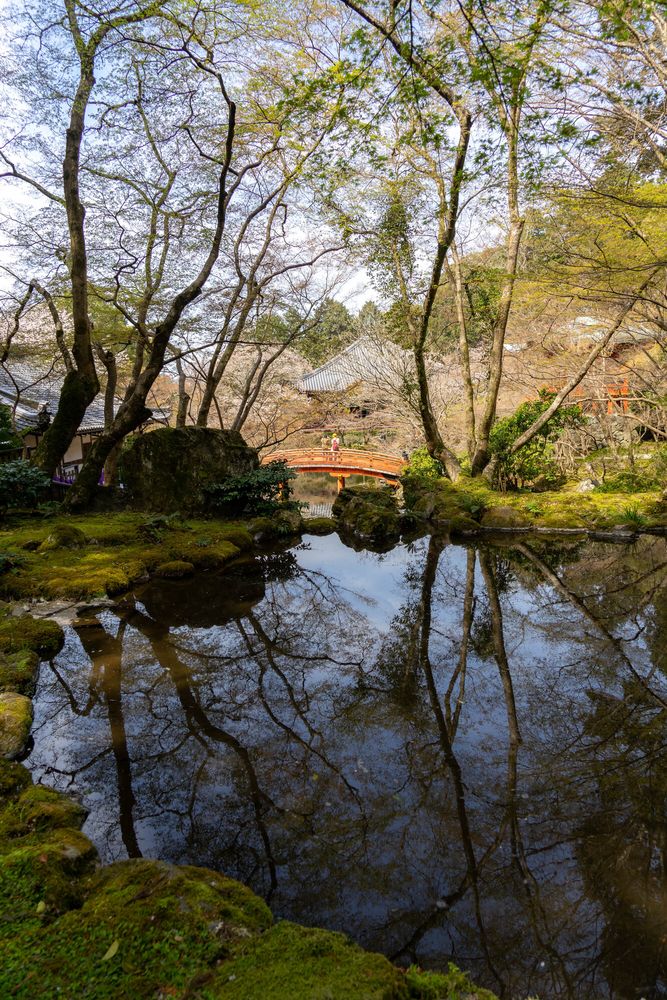 醍醐寺の画像 - 3枚目