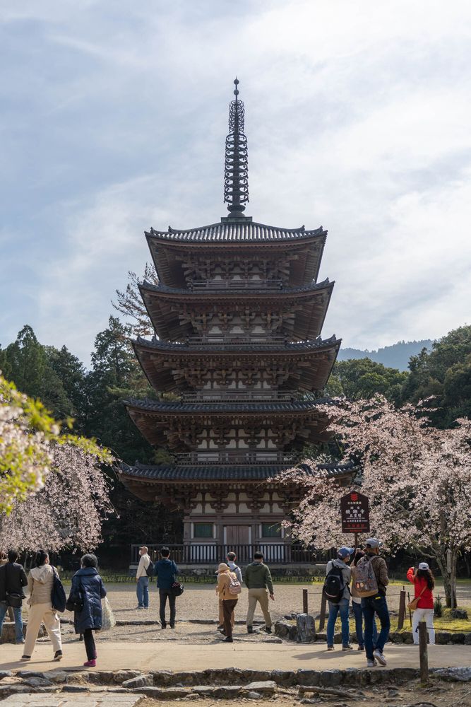 醍醐寺の画像 - 4枚目