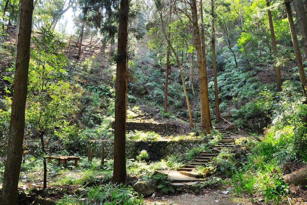 飯山白山森林公園の画像 - 3枚目