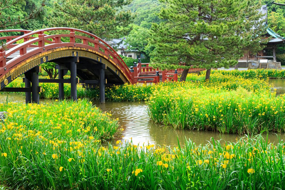 称名寺の画像 - 2枚目