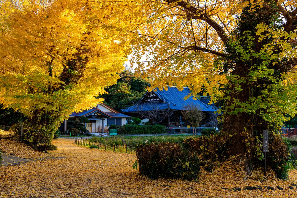 称名寺の画像 - 5枚目