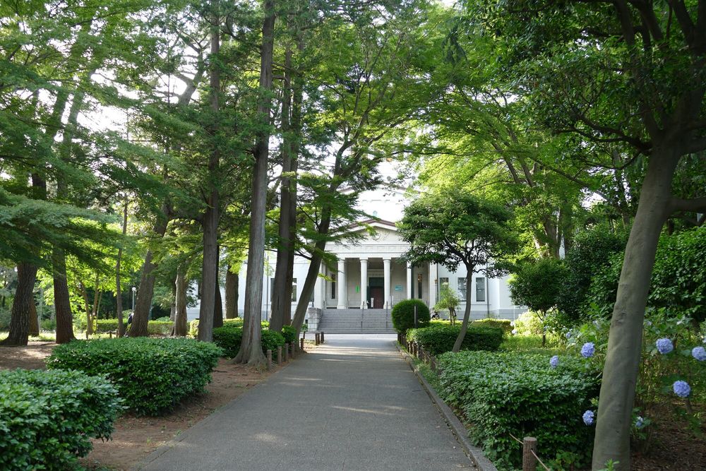 大倉山公園 梅林の画像 - 3枚目