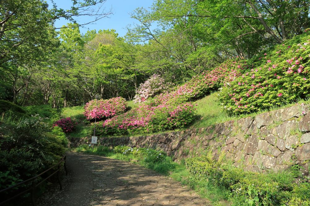 大庭城址公園の画像 - 3枚目
