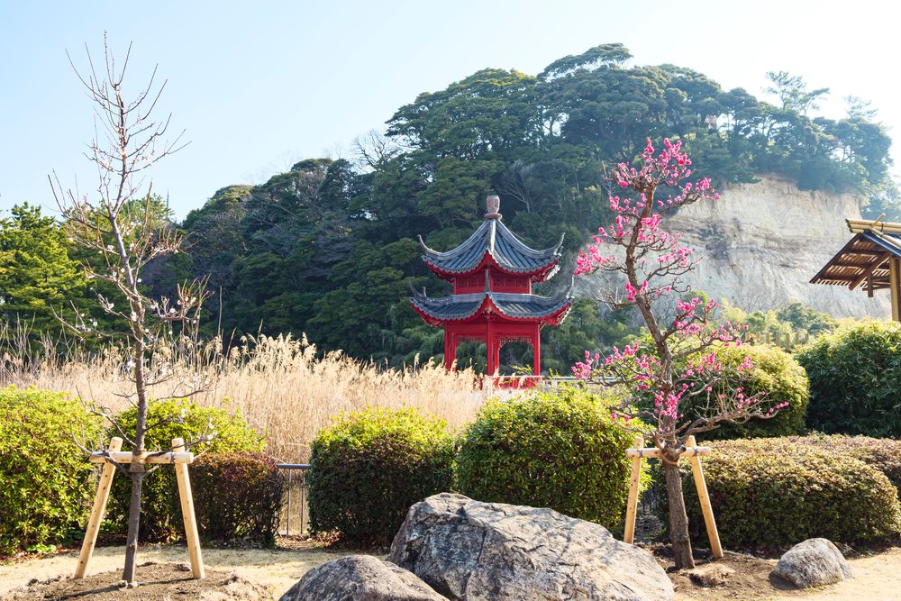 本牧市民公園の画像 - 5枚目