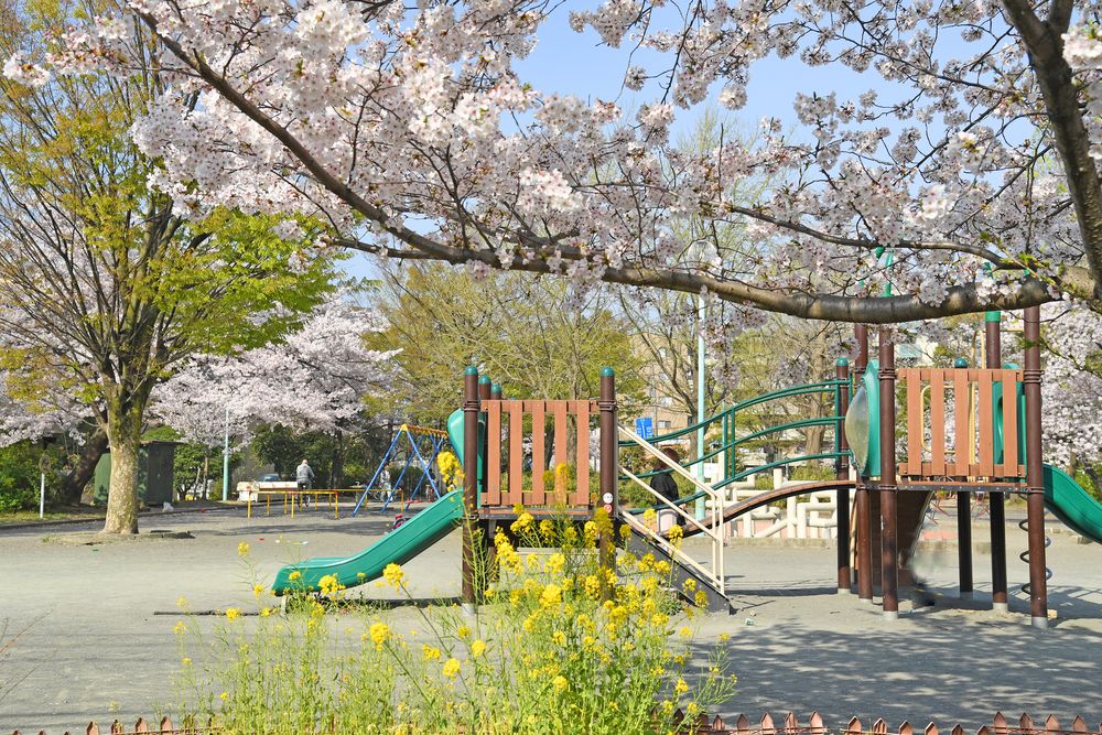 川崎市中原平和公園の画像 - 4枚目