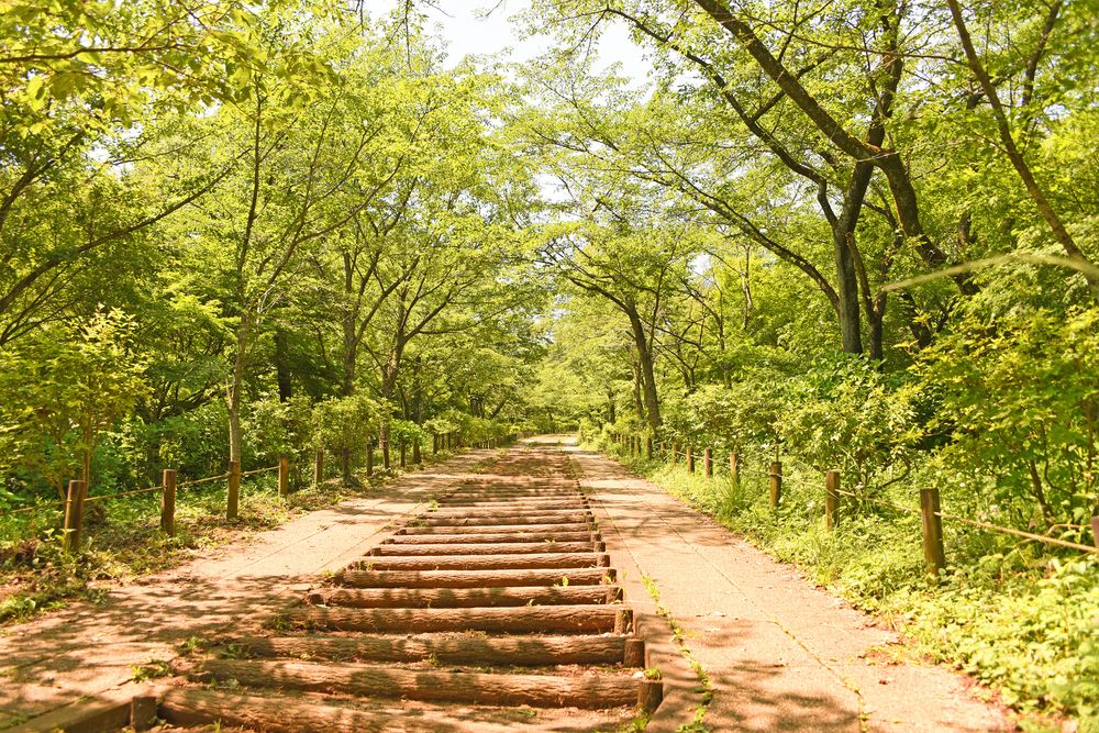 弘法山公園の画像 - 4枚目