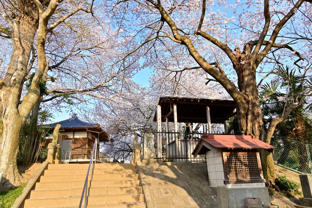 東光寺の画像 - 2枚目
