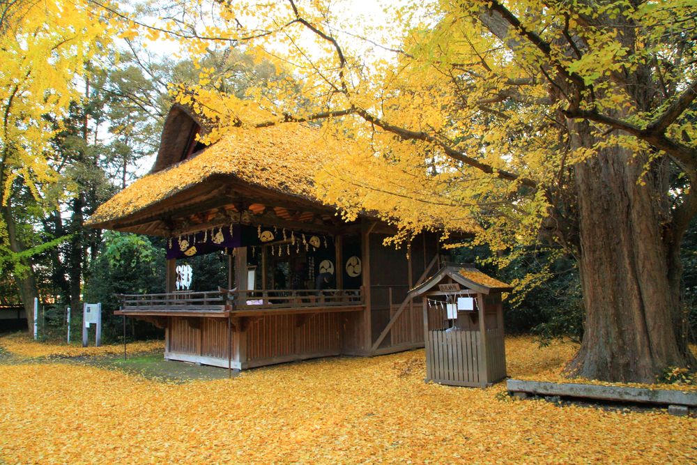玉敷神社の画像 - 3枚目