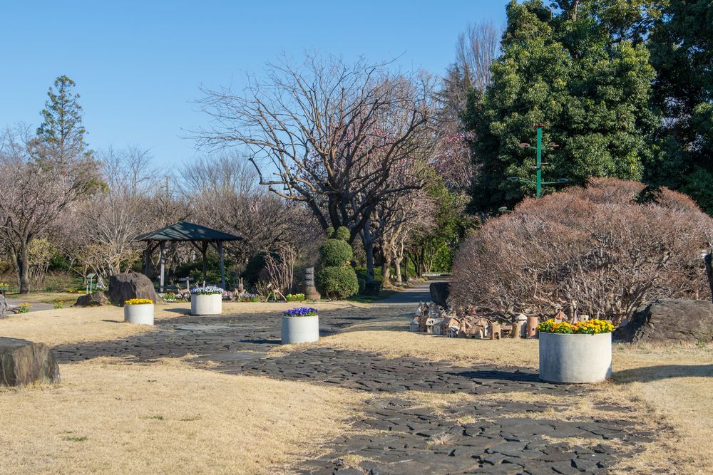 ふかや緑の王国の画像 - 4枚目