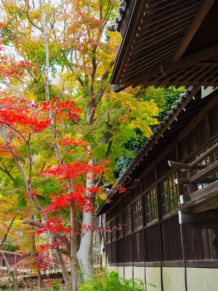 本土寺の画像 - 2枚目