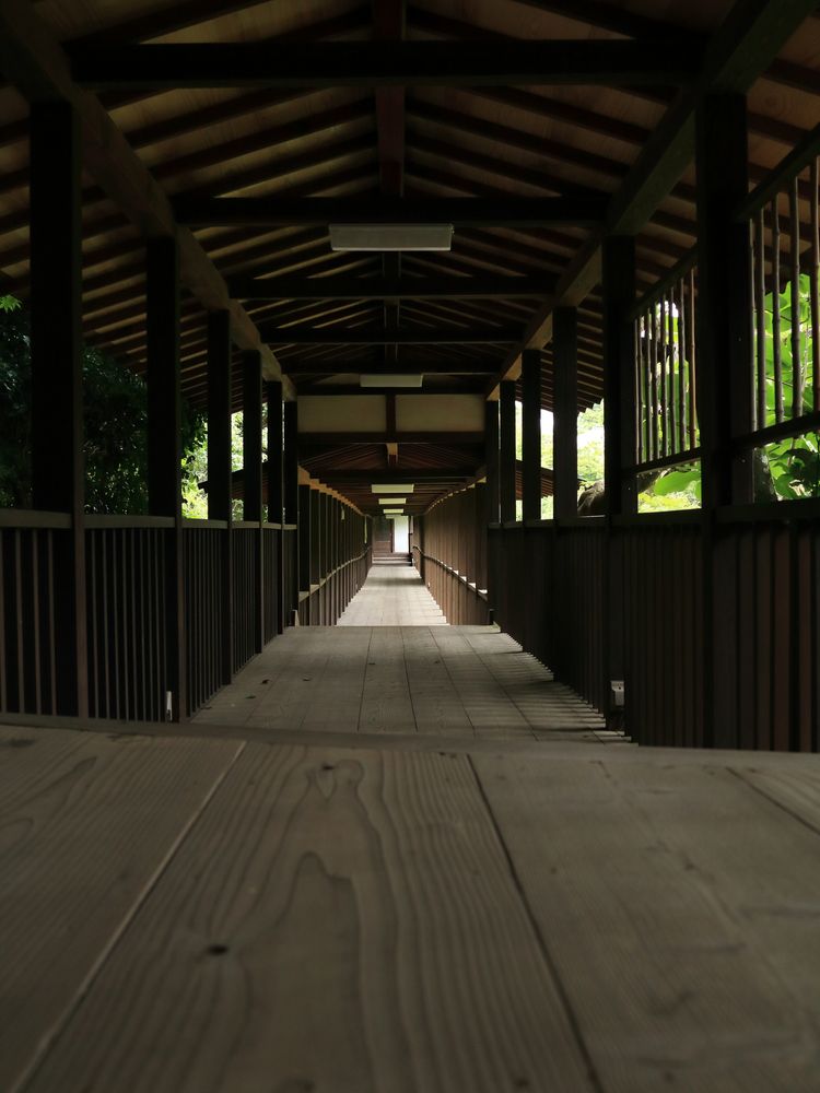 本土寺の画像 - 4枚目