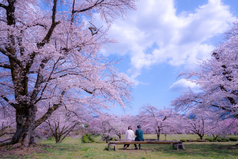 羊山公園の画像 - 4枚目
